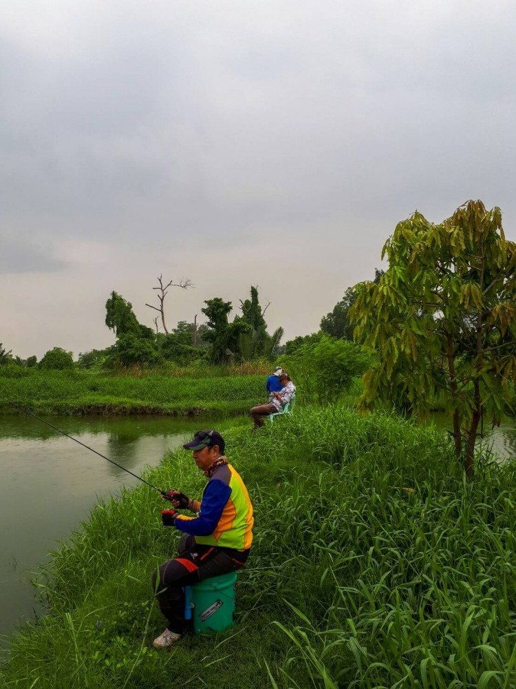 ฝนพรำตลอดทั้งวันครับ