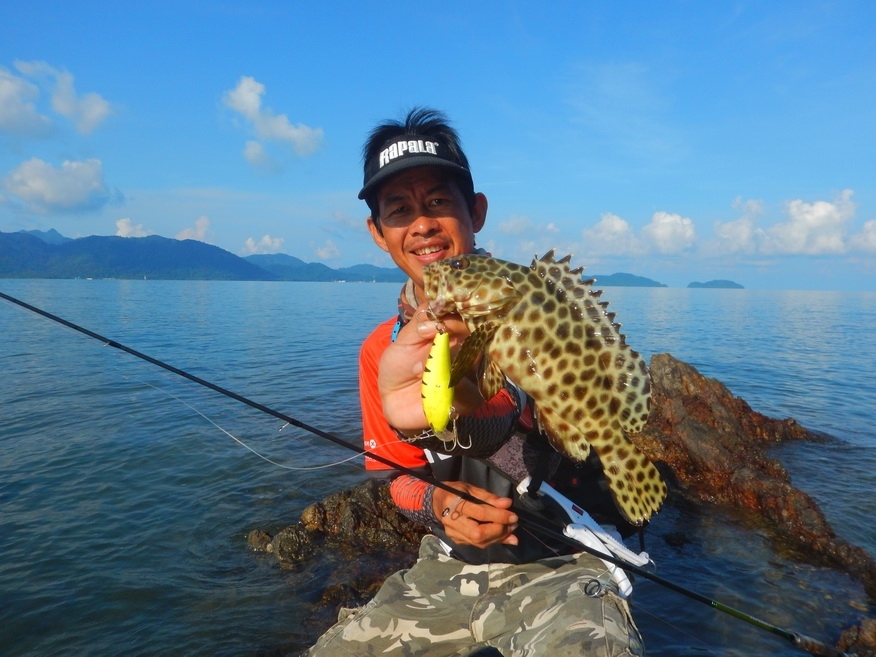 
Rapala fatrap 7 ดำตื้น  :cheer: :cheer: :cheer: :cheer: :cheer: