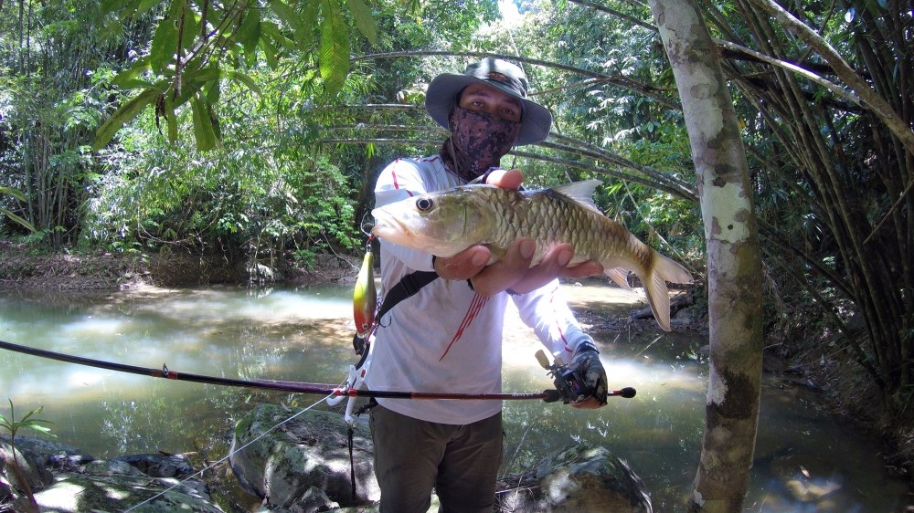 

 [center][b]กระสูบขนาดกำลังสนุก กัดRapala Skitter Pop 5Cm.[/b][/center]


