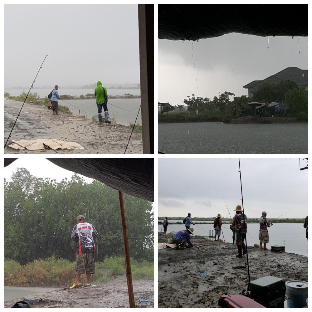 วันนี้ปล่อยตัวออกตกไปได้แค่ 20 นาที
ฝนก้อกระหน่ำตกลงมา แต่พี่ๆน้องๆนักตกปลาหาได้ย่อท้อไม่ เพราะฝนตก