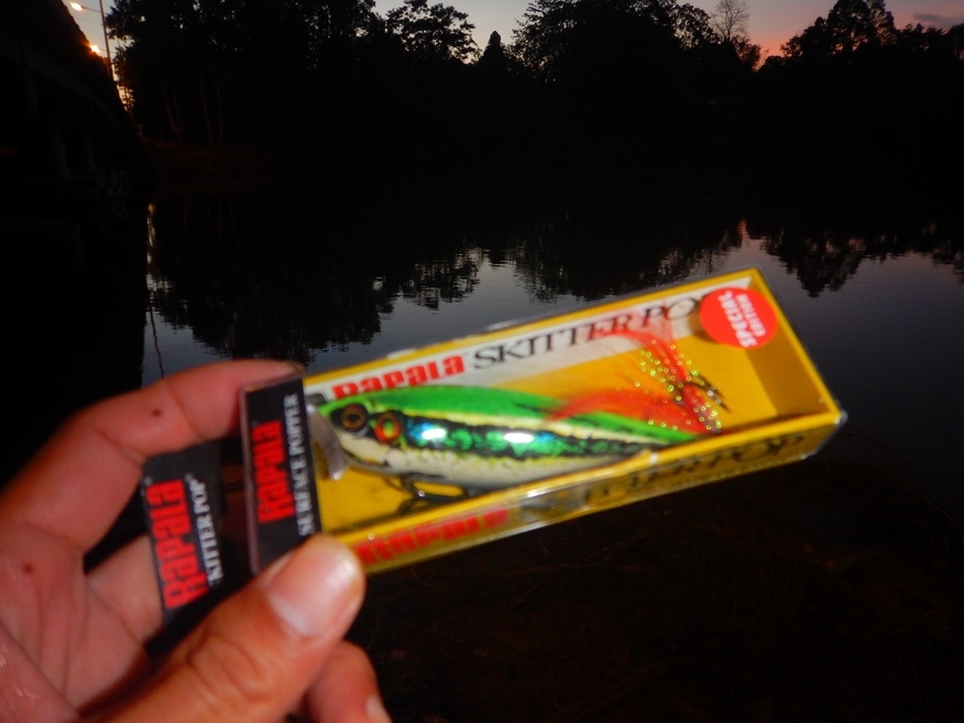 
หลังจากนั้นลองเอาตัวนี้ครับ Rapala skitter pop ลายเขียดบัว เอาออกมาลองตีดูใต้สะพานก่อนแต่ไม่มีตัวค