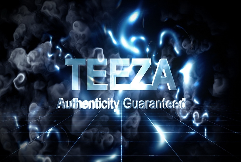 ''  TEEZA  ''  พาเที่ยว  ODAIBA  in  Japan  # 2