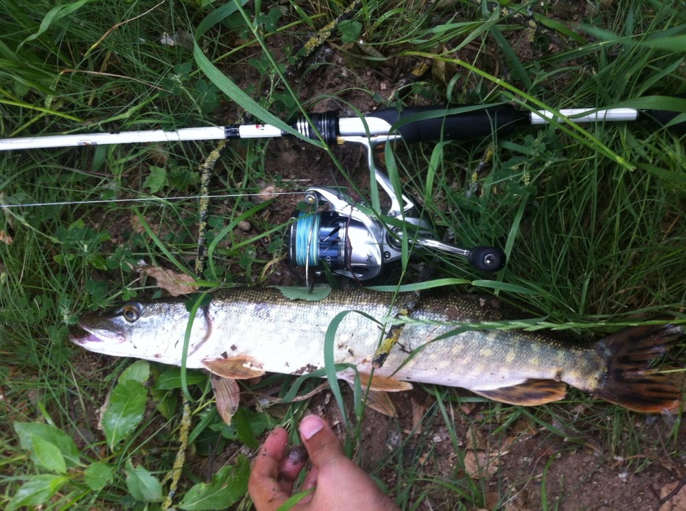 ตามหาเจ้าปากเป็ด....Small river Pike fishing...