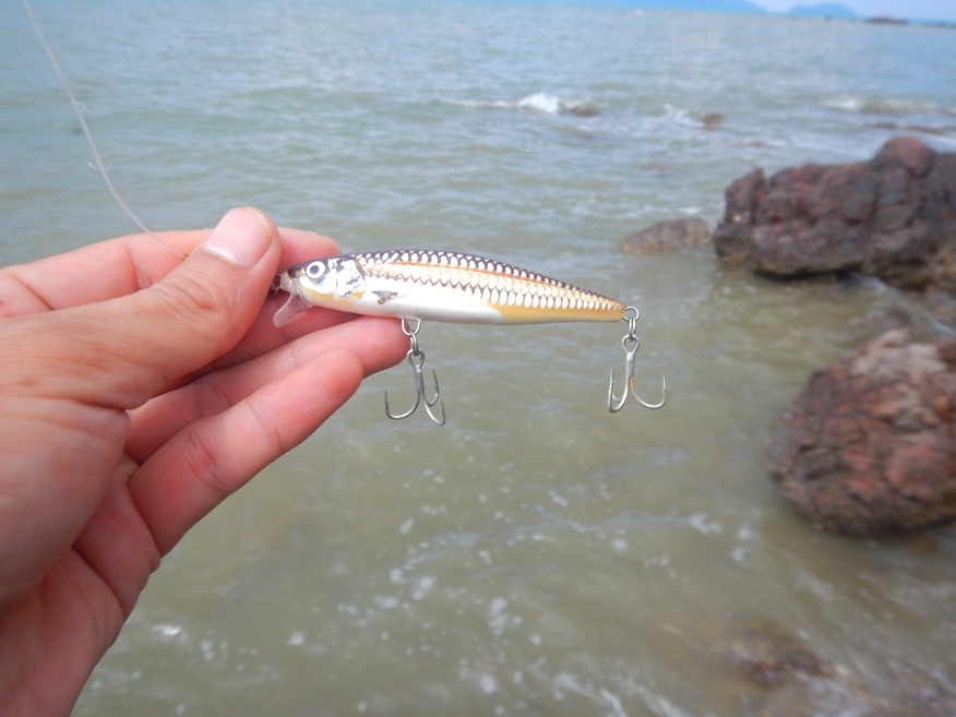 
น้ำตื้นๆข้างหินชายฝั่ง Rapala Flat rap pla sew 8 ก็น่าจะโอเคร ...  :cheer: :cheer: :cheer: