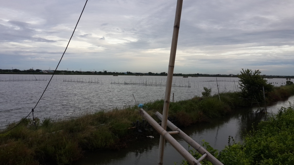 โล่งๆเลยบรรยากาศในบ่อ (ต้องขุดกันเพลินละ)