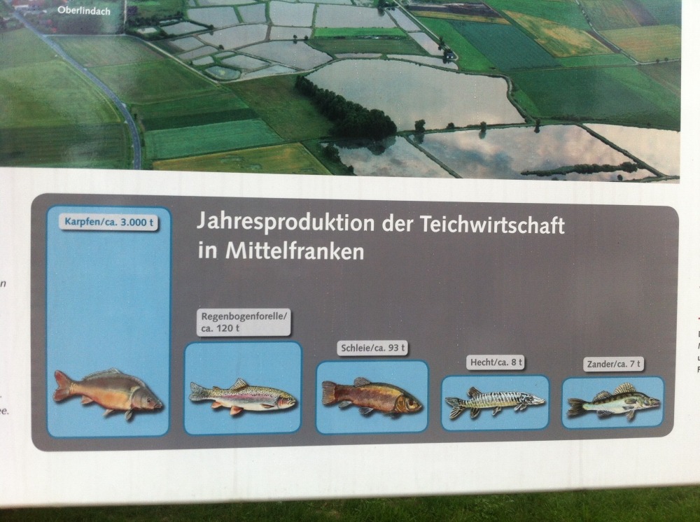 ปริมาณปลาแต่ละชนิดในแถบนี้ครับ t=ตัน (รวมทั้งบ่อเลี้ยงและแหล่งน้ำธรรมชาติ) ชื่อปลาเป็นภาษาเยอรมันครั