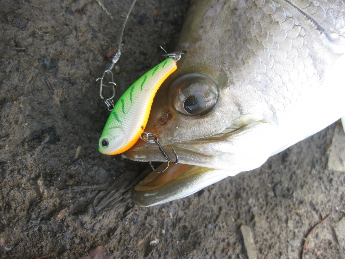 Rapala Slab Rap เหยื่อดีมีไว้จิ๊ก