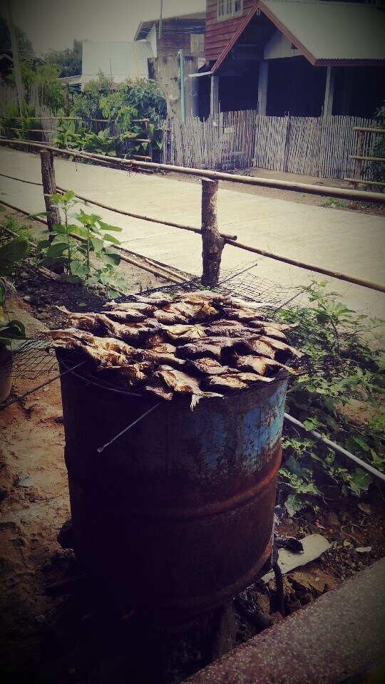 กลับมาย่างปลากลับเทพ ครับ ตากไม่ได�