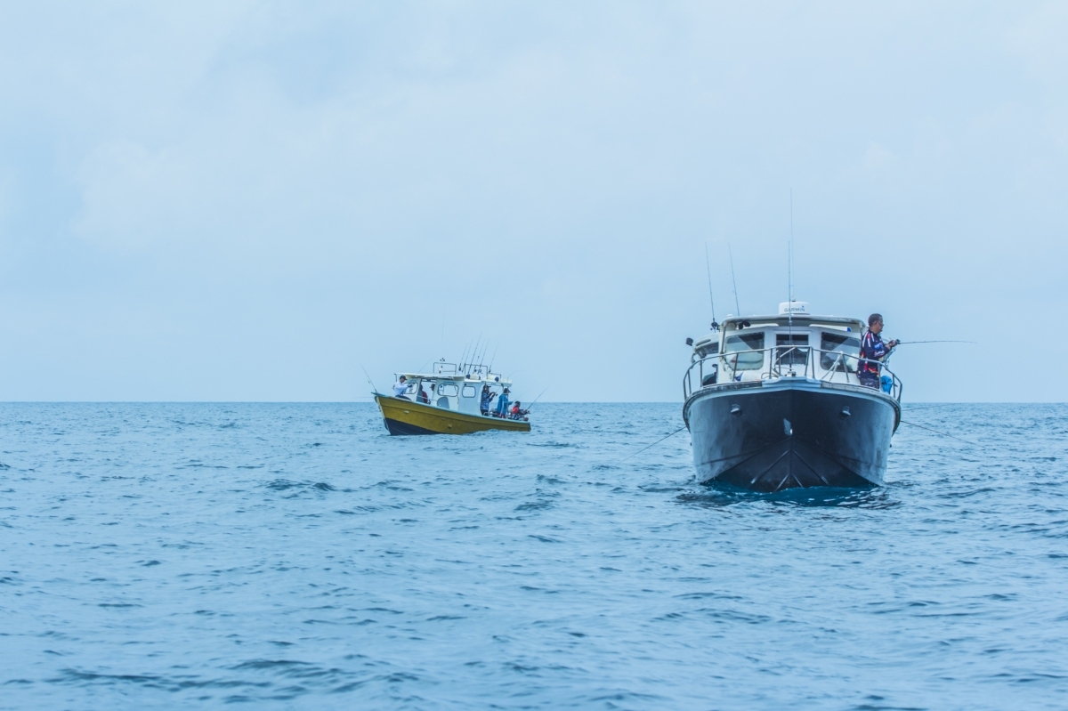  [center]หลังจากนั่งเรือมาสักพัก ก็เข้าหมายแรก ..... 
ซาบิกิ ครับ หาเหยื่อปลาเป็นกันก่อนอันดับแรก[/