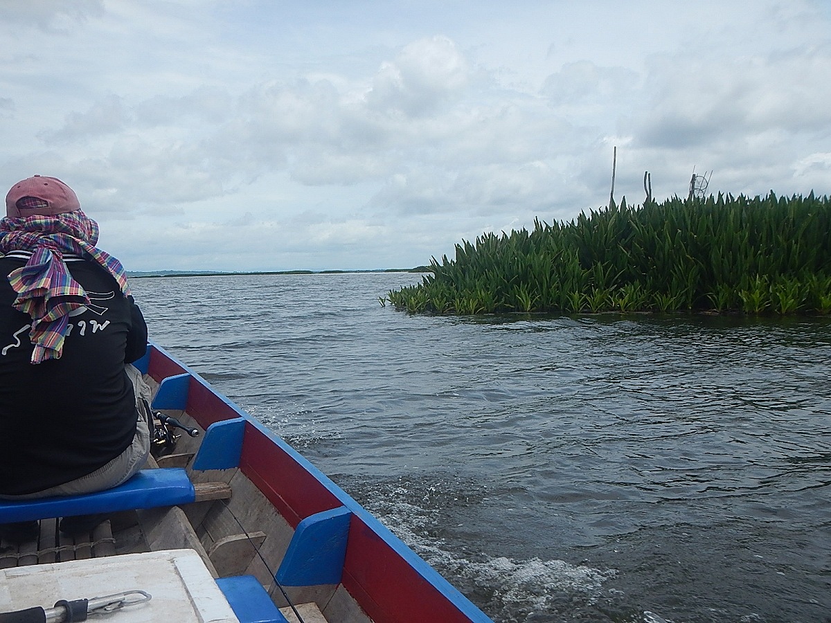 
 [center]วิ่งเรือย้ายมาอีกด้านนึงของทะเลน้อย เพื่อมาหาที่หลบๆลม และหาแนวนํ้าใสๆ[/center]

