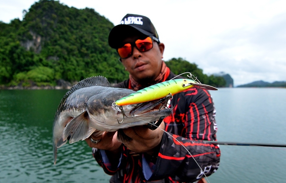  [q][center][b]

Lure : Rapala CD-11

[/b][/center] [/q] 