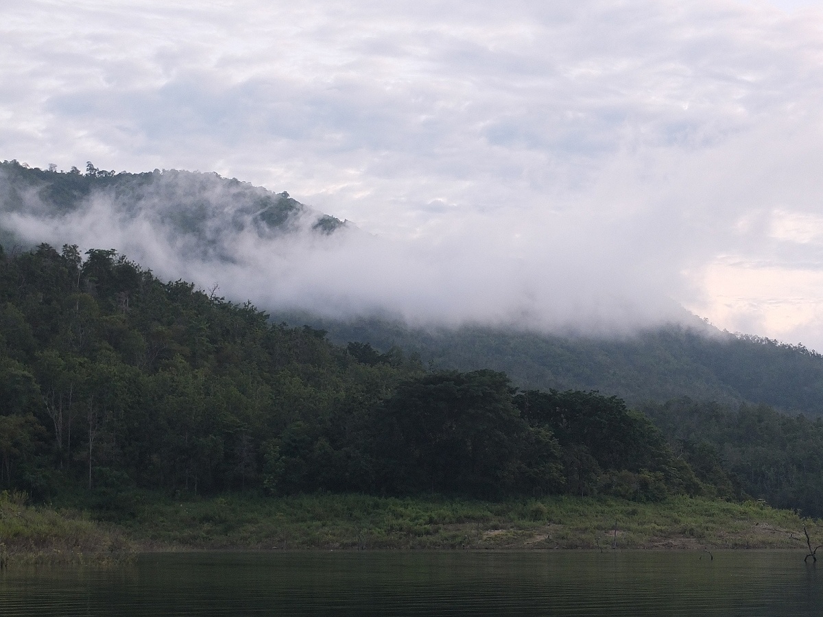  [center]เมื่อคืนมีฝนลงมาวันนี้อากาศคลายร้อนไปบ้าง[/center]