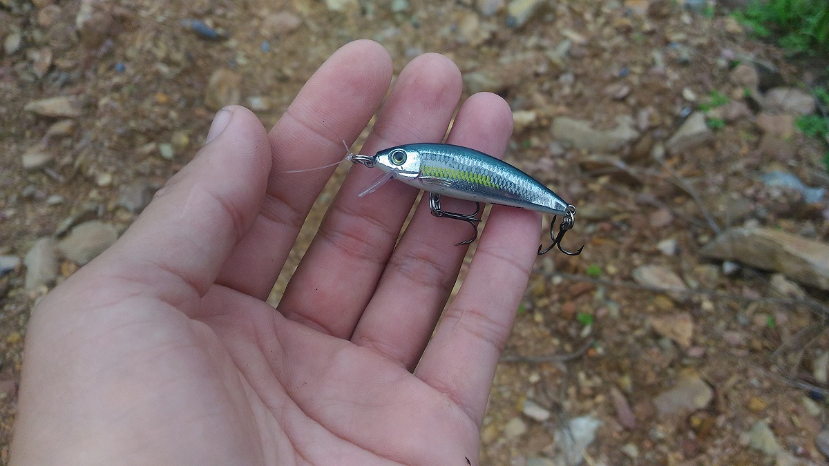 

 [center]เช้าๆ แสงน้อยๆ เอาเหยื่อที่สะท้อนแสงได้หน่อยละกัน [/center]

 [center] [b]Rapala Shad