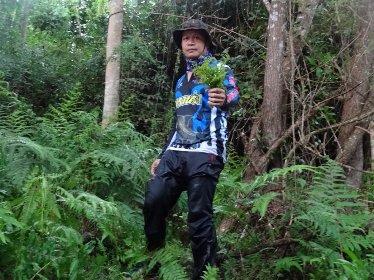  [b]เก็บผักกินซิครับ 5555 ได้แน่ครับ[/b] :laughing: :laughing: