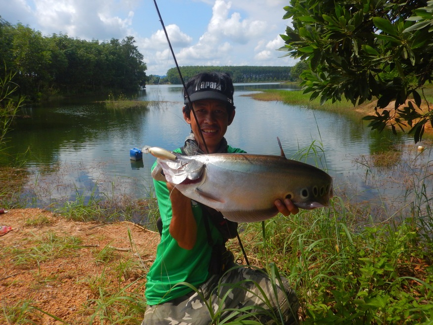 
ผลงาน Rapala fatrap 7 deep runner  :smile: :smile: :smile: :smile: :smile: