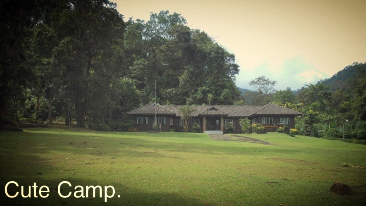 หญ้าเขียวขจีบริเวณ Camp site.