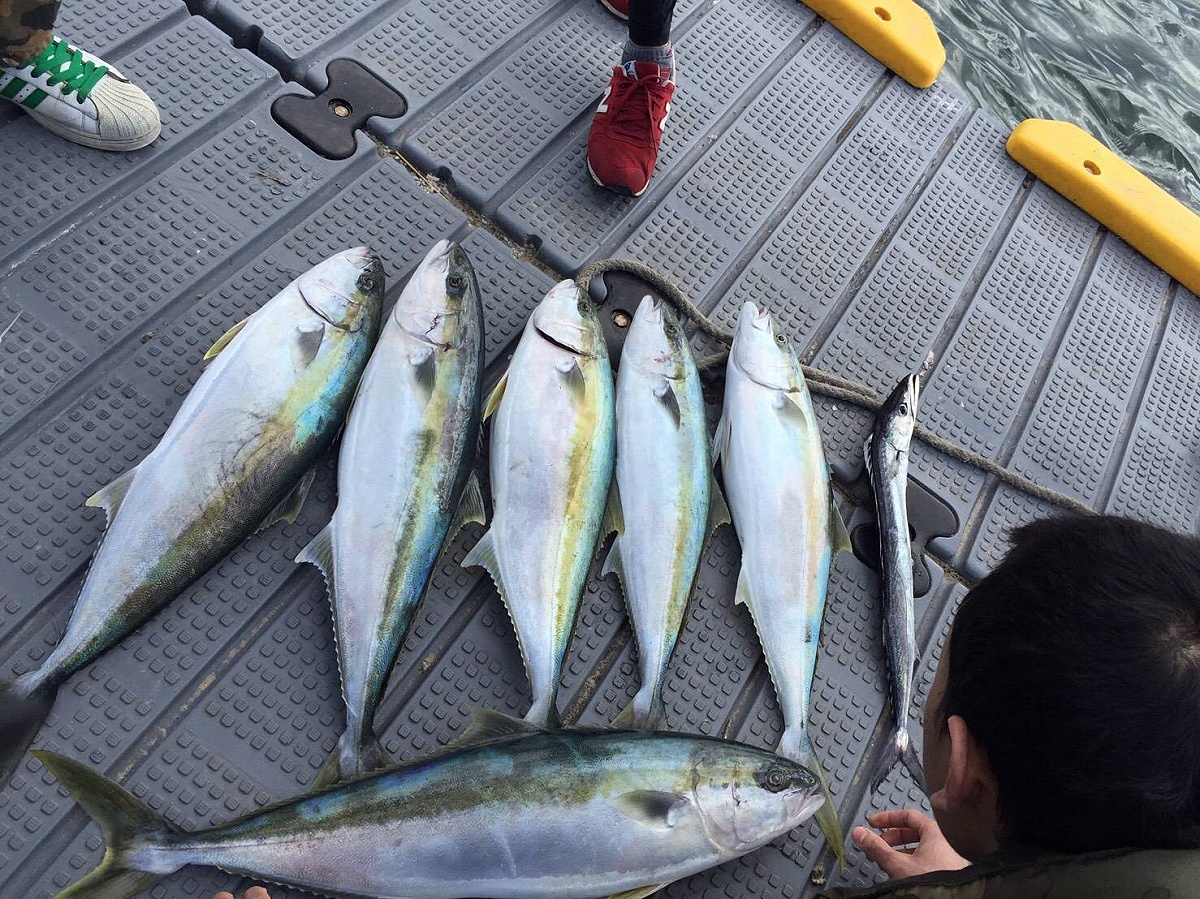 [q][i]อ้างถึง: julio555 posted: 18 ต.ค. 60, 11:20[/i]
king fish นี่ใช่ปลา บุรี ปลา แอมเบอแจ็ค อะไรพ