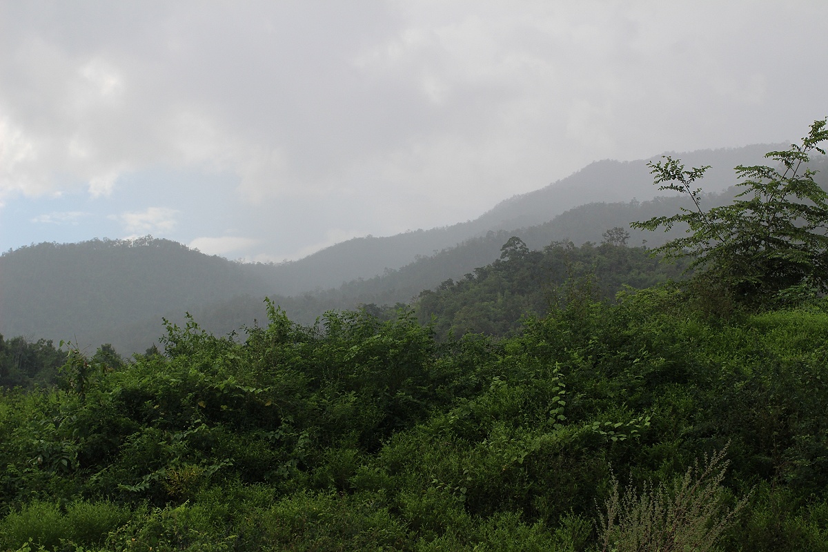  [center]ช่วงบ่ายมีฝนลงมาให้คลายร้อนไปบ้าง[/center]