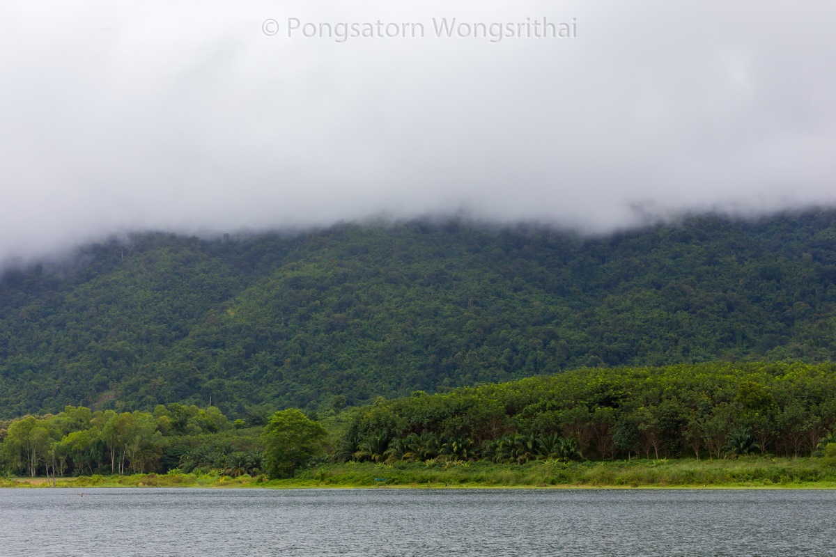 บรรยากาศหลังฝนหยุด