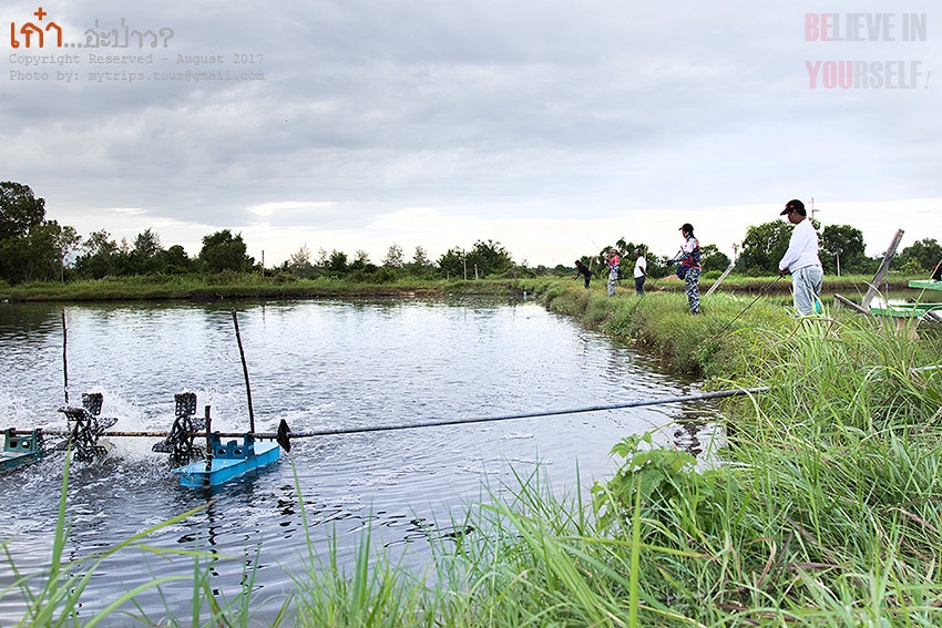 ถ่ายภาพนี้เสร็จ ก็ได้เวลาวางกล้องถ่ายรูปไว้ที่เบาะท้ายรถละครับ  :grin: