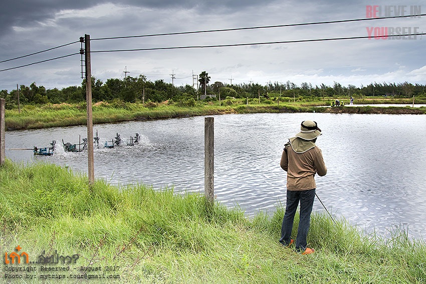 ฝนตกก็เข้าร่มใต้หลังคา ฝนหยุดก็ออกมา ตกปลาใหม่  :cool: