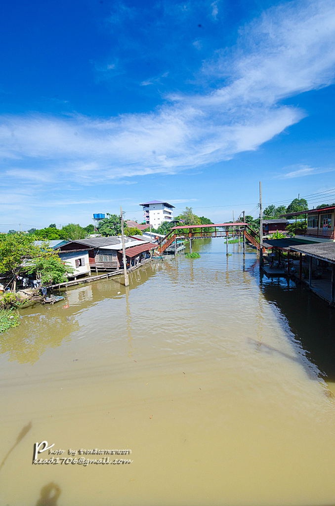 คลองสามสายมาชนกันนำ้จะวนไต้สะพาน   ก็เลยเป็นการชุมนุมปลา
คลองที่ว่าคือ  1 คลองทวีวัฒนา  2.คลองโยง  