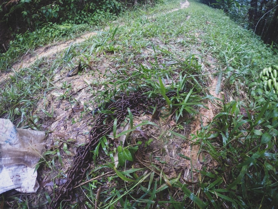 

 [center][b]เห็นสภาพฝนที่ตกแล้วคิดในใจเลยว่า สงสัยต้องลางานอีกหลายวันแน่กว่าจะออกได้ พ่อเลยไปยืม