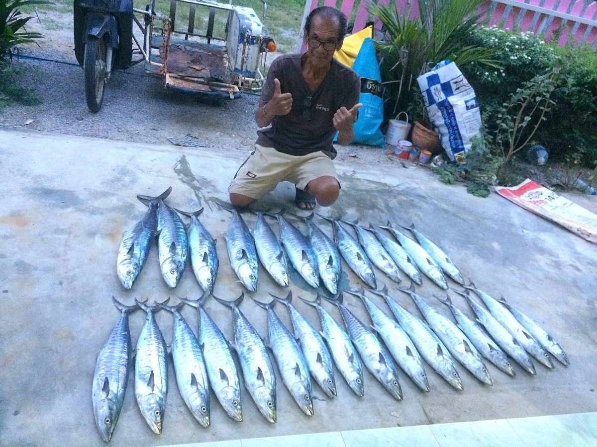 ลาด้วยภาพอินทรี28ตัวทริปลมหยุดขอบคุณทุกท่านที่ติดตามรับชมครับ