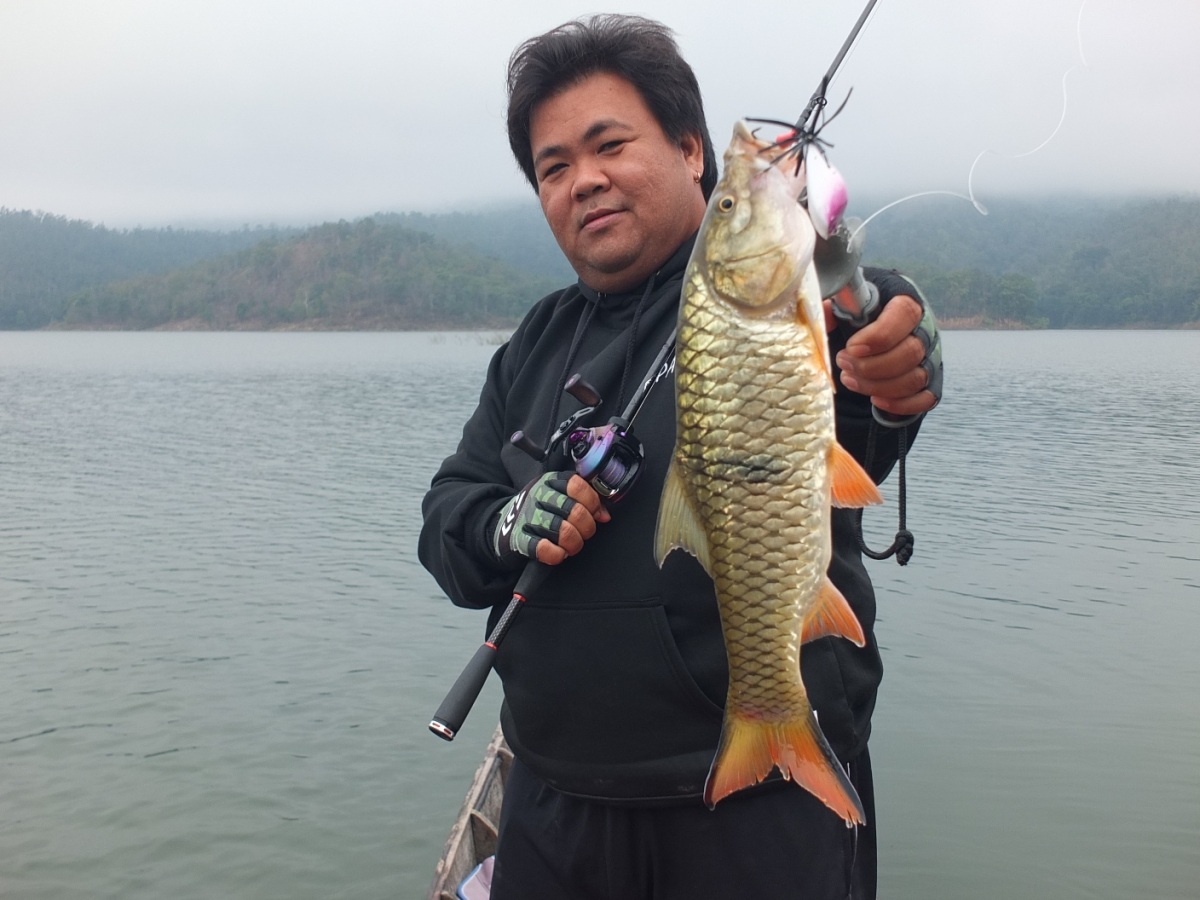  [center]จัดหมายนอกมากอีกตัว ช่วงนี้เยอะครับกระสูบ[/center]