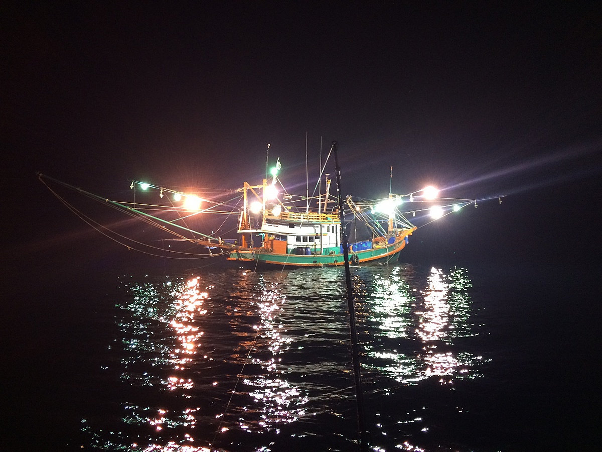 เรามาอยู่ข้างๆเรือไดรหมึกสว่างมากไม่ต้องเปิดไฟบนเรือเราเลย