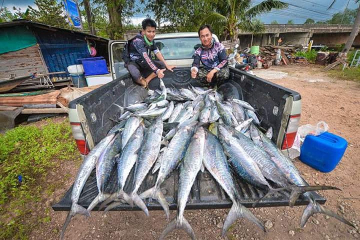 @..ตามล่าปลาอินทรีย์...แนวซั้งชุมพร..@