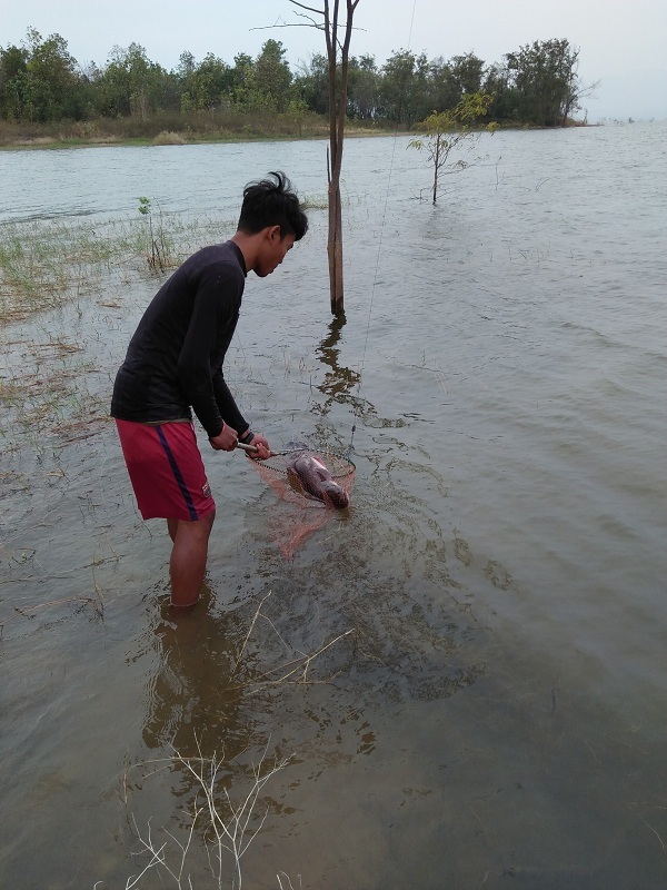 ...พลสวิงเดินทางไปกลับ1600โลพึ่งได้ตักปลาตัวเดียว..++ :cool: :laughing: :laughing: