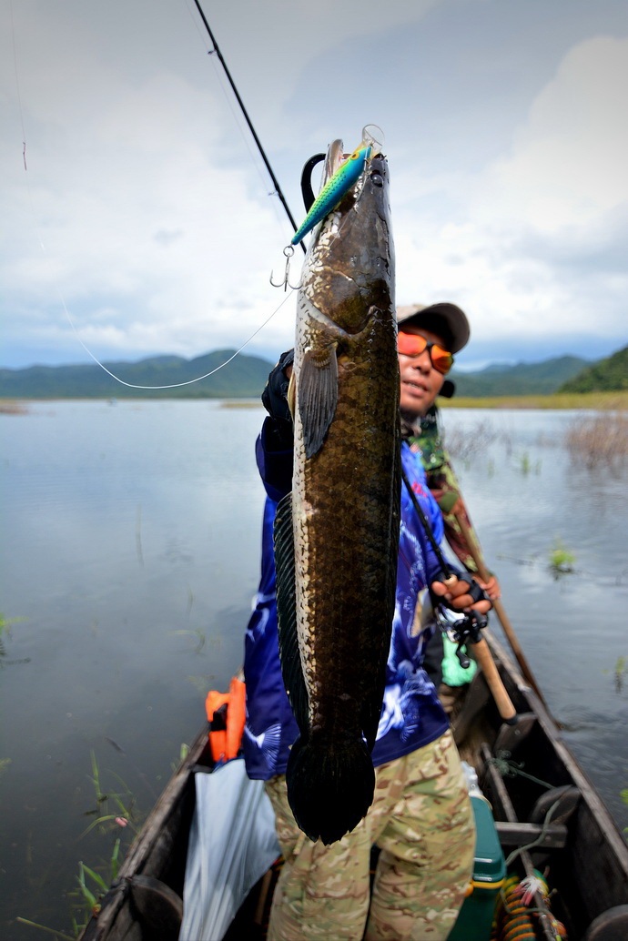  [q][center][b]

** ฟ้าหลังฝนสดใสเสมอ

ส่งช่อนไซร์โลกว่า....ขึ้นมาเป็นรางวัล


[/b][/center] 