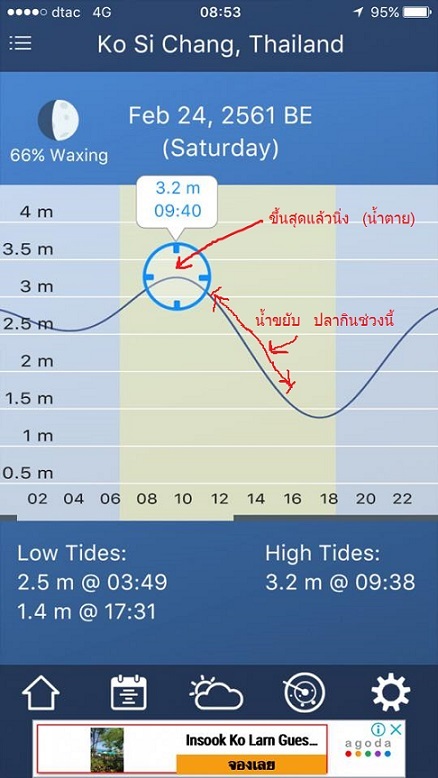 ตกจนแขนจะหลุด ก็เอารูปลงไปสอบถามน้าในเพจ Light Rock Fishing Game Thailand ครับ ว่าปลาทำไมไม่กิน
ก็พ