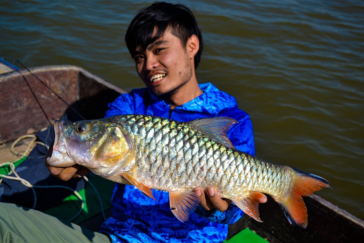 กระสูบ 2 วัน ที่ผ่านมาตัวใหญ่ๆทั้งนั้นเลยครับ