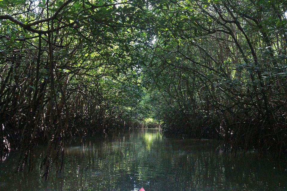 ขอลากันไปที่ภาพนี้ครับ ......สถานที่ท่องเที่ยวในชื่อว่า..... [b]อุโมงค์สามช่อง[/b]

ขอบคุณน้าๆทุกๆ