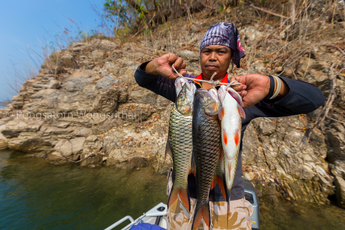 โดนกันถ้วนหน้า จนสปูนหมดกล่องกันทุกคน สายๆถึงกลับแพพักกันครับ