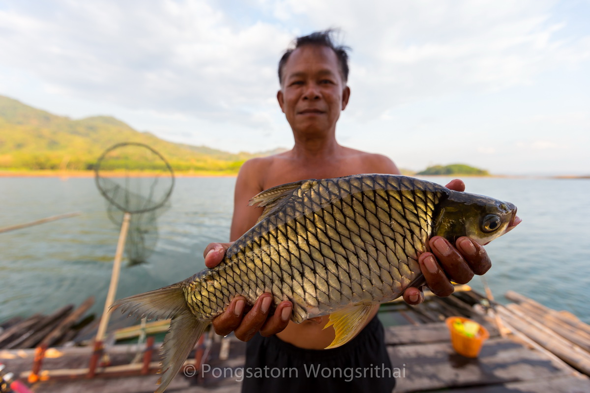 กลับมาถึงแพพักชุดหน้าดินก็มีสกอร์เพิ่มมาอีกหนึ่งครับ