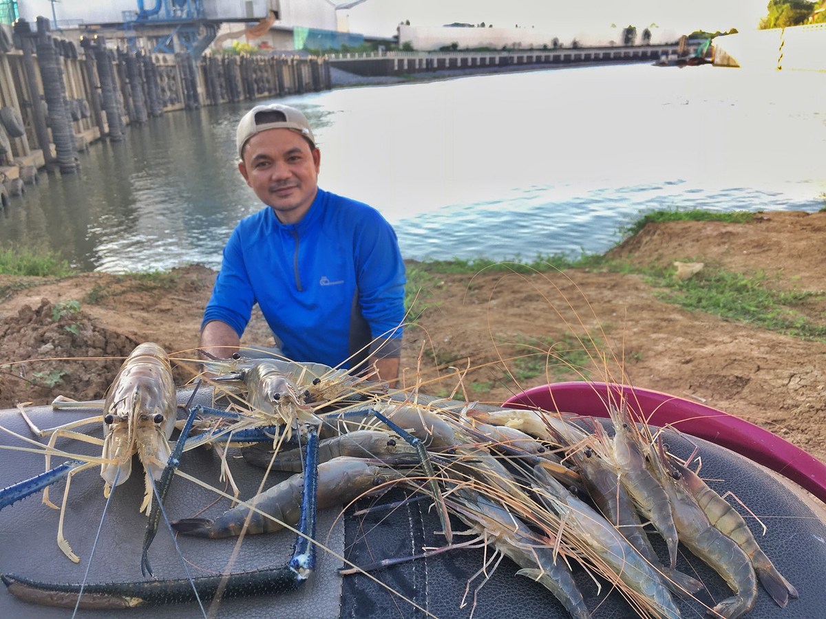 กุ้งแม่น้ำ3โล100ตอน2ครับ