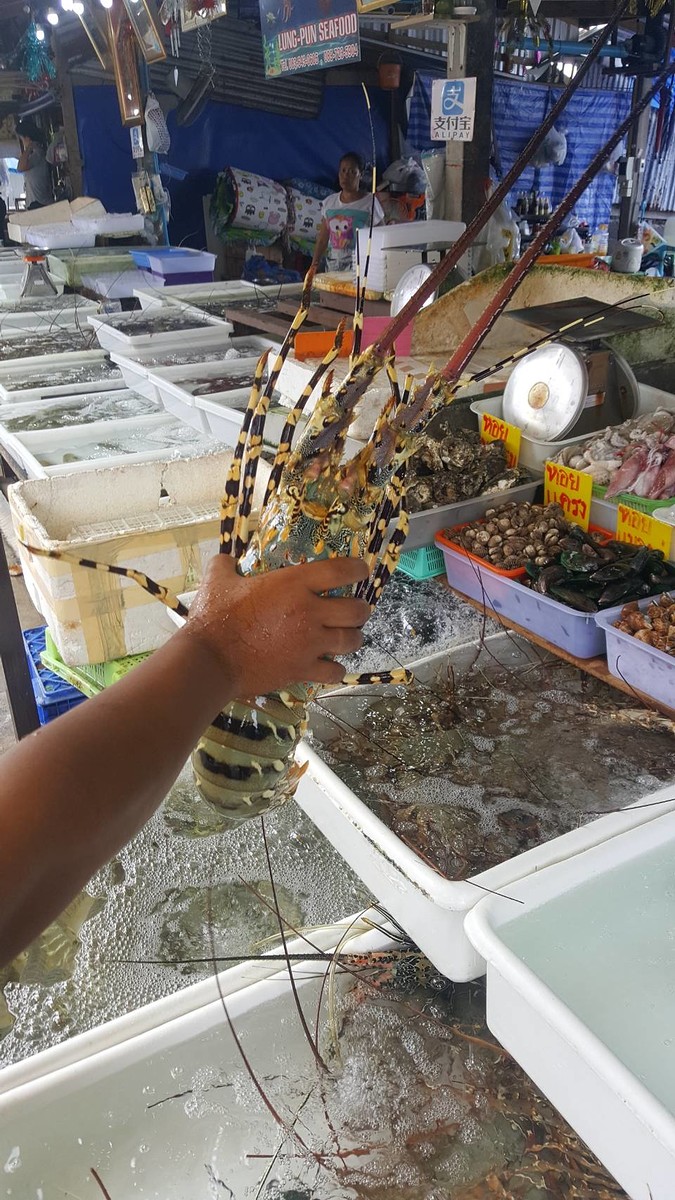 ที่แรกสำหรับเมืองภูเก็ต หาดราไวย์ หาไรกินดีกว่า