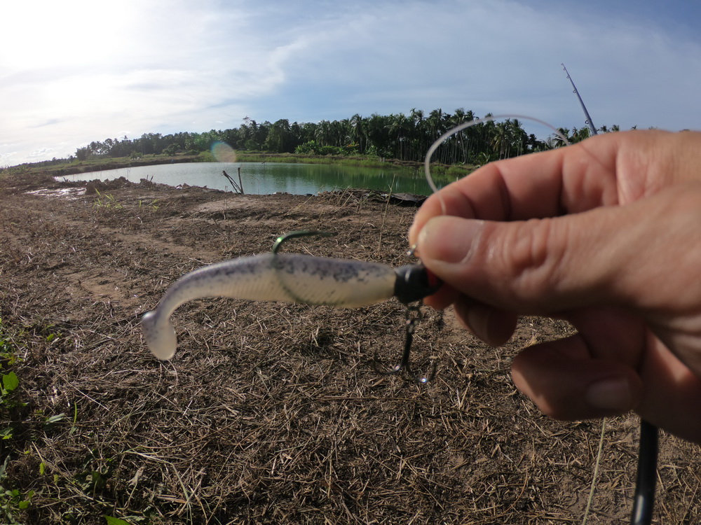 
มาลองดูหมายปลาช่อนดูบ้างครับ กับบ่อล้างที่น้ำเริ่มจะลดลงแล้ว 
storm so-run minnow  :cheer: :cheer