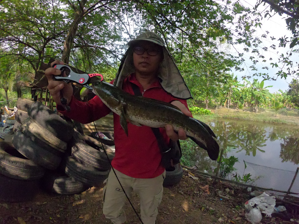 
Rapala Fat rap 5 ไม่ทำให้ผิดหวัง สอยช่อนตัวงามๆในที่โล่งๆสบายๆครับ  :smile: :smile: :smile: :smile