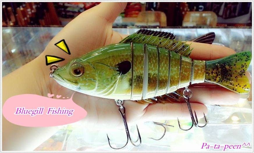 Swim bait ใช้ตกชะโดธรรมชาติเหมาะมั้ยครับ