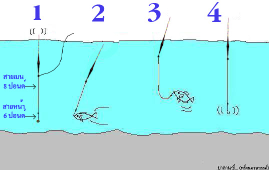 การตกปลาแบบสปิ๋ว การตกปลาแบบชิงหลิว บาลานซ์ ไม้ตาย