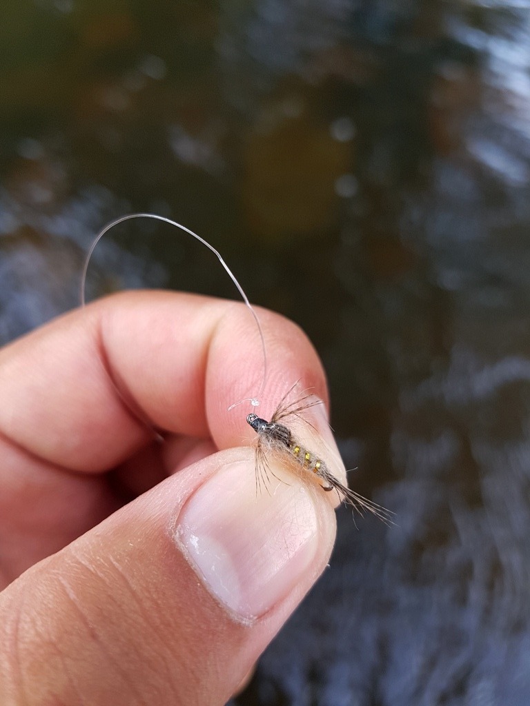 ผมลองเปลี่ยนเหยื่อตัวบนดูบ้าง  จริงๆตัวนี้ตั้งใจจะพันแบบ gold rip hare ear nymph fly   แพทเทิร์นยอดฮ