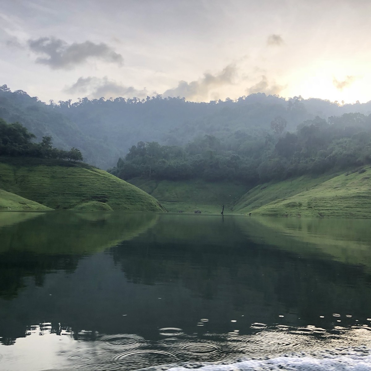 เขียวขจี