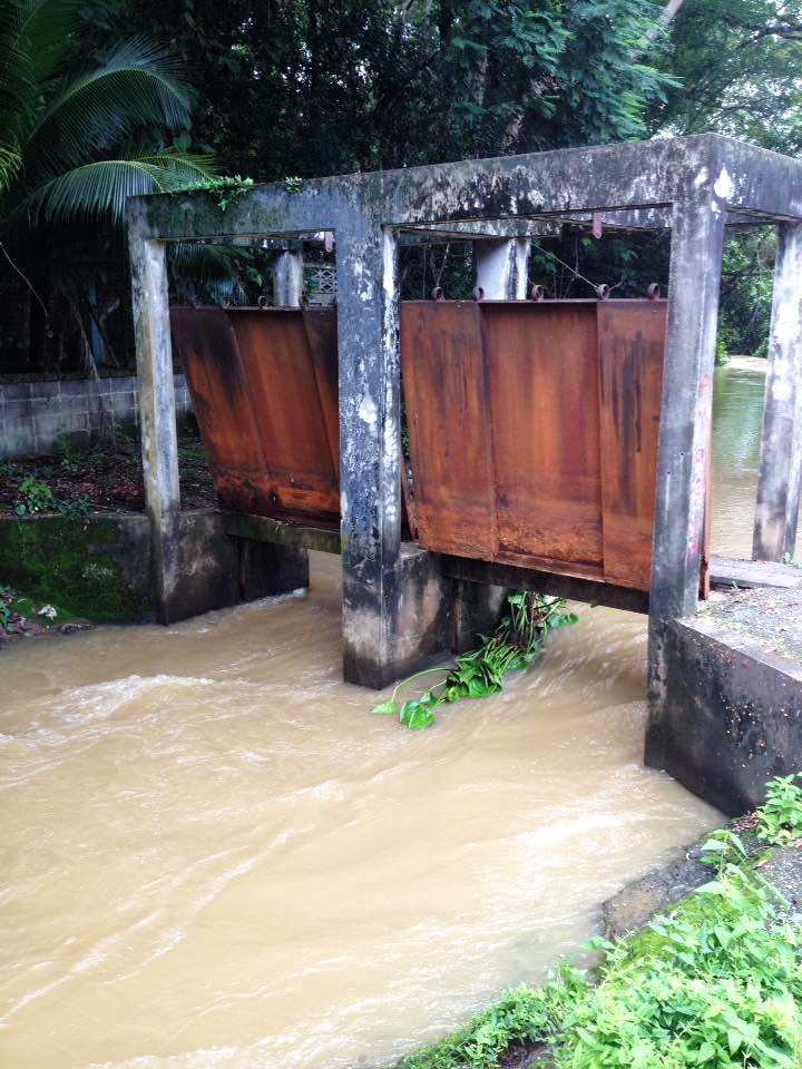 2 คืนที่ผ่านมาฝนตกแรงมากครับ  เสียงกบ เขียดดังระงมพร้อมความชุ่มช่ำตลอดคืน และแน่นอนครับ เมื่อมีฝนก็ต