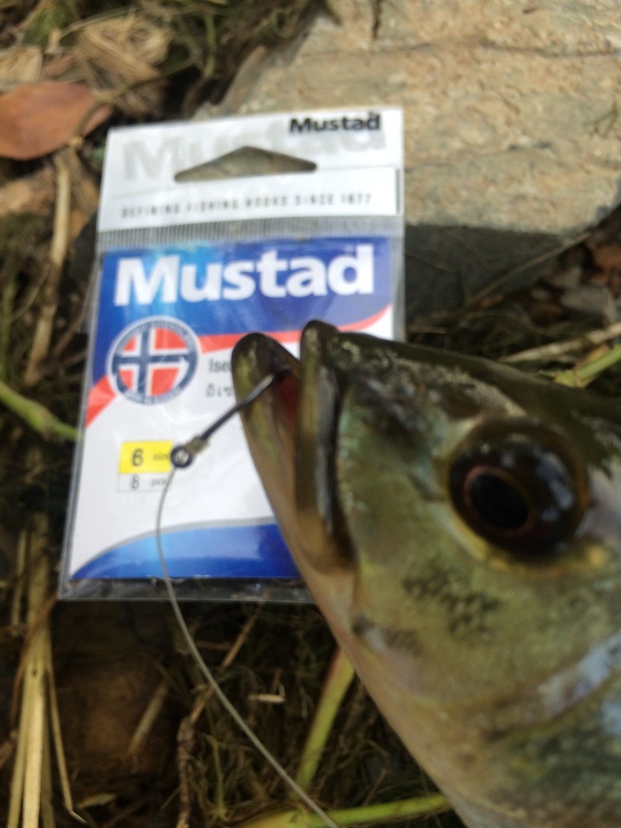 
Mustad Iseama เบอร์ 6 ครับ

เล็กกว่านี้ จะปลดยากเอา