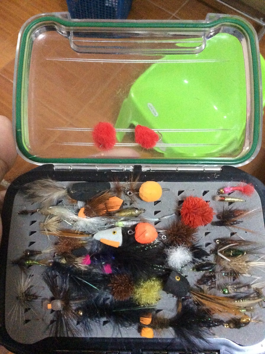 เลยมาดูเหยื่อในกล่องที่มีสีและลักษณะใกล้เคียงกะผลมะเดื่อที่สุดและต้องลอยน้ำเหมือนมะเดื่อเพราะปลาขึ้น