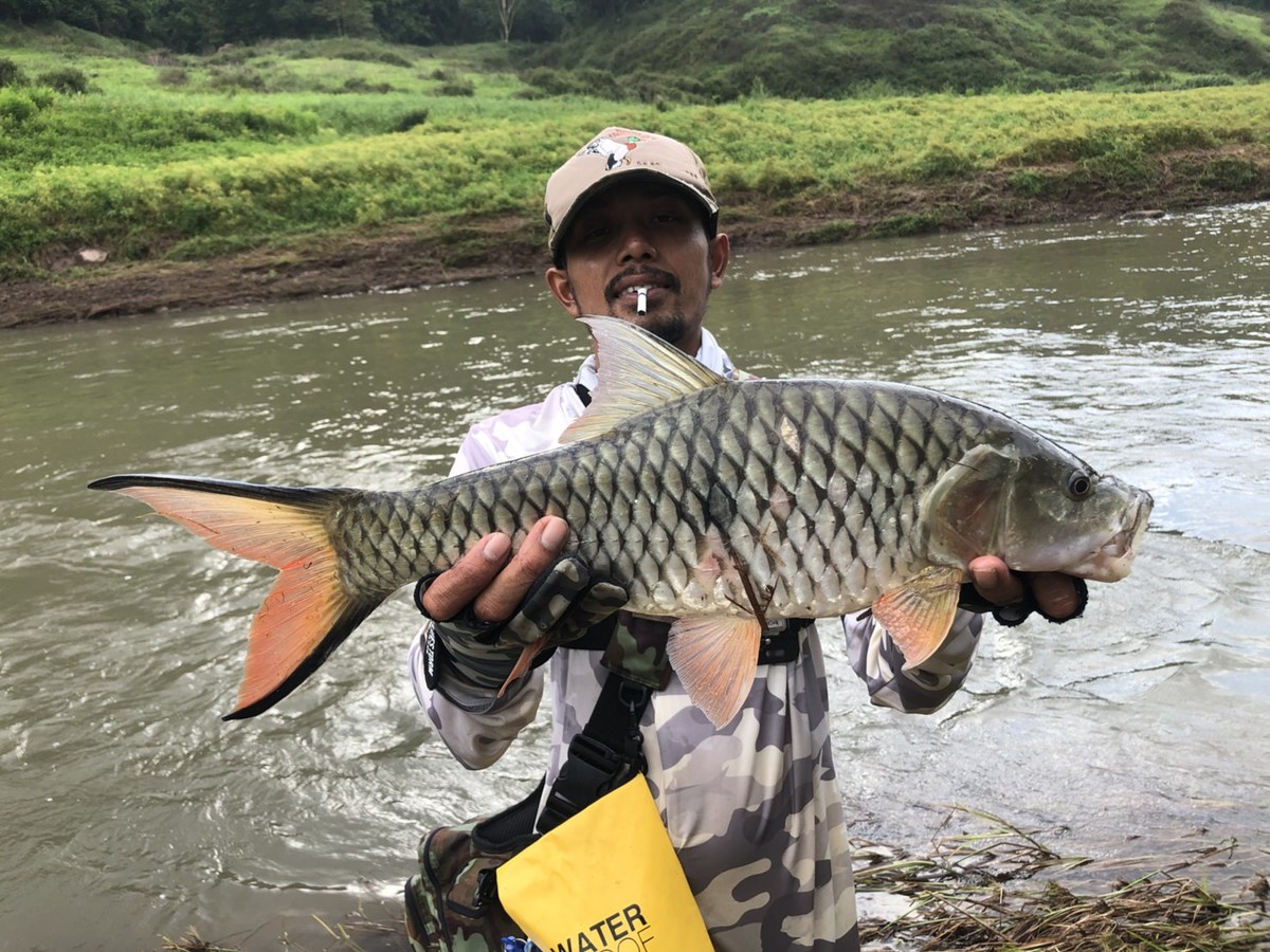 จบทริปขุนด่านปี61แล้วครับ ปีหน้าเจอกันใหม่ครับ ถ้ายังมีปลาให้ตก